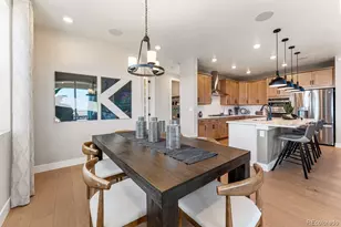 4207 Canister Point, Castle Rock, CO 80108 - Photo 9