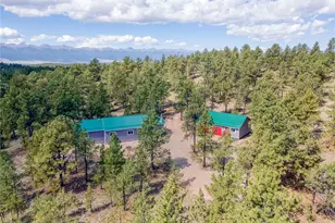 2796 Black Fawn Ln, Westcliffe, CO 81252 - Photo 37