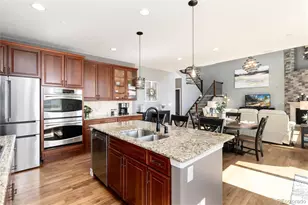 1556 Bent Wedge Point, Castle Rock, CO 80109 - Photo 17