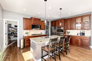 1556 Bent Wedge Point, Castle Rock, CO 80109 - Photo 15