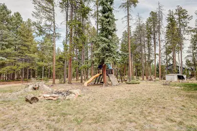 10850 Oehlmann Avenue, Conifer, CO 80433 - Photo 9