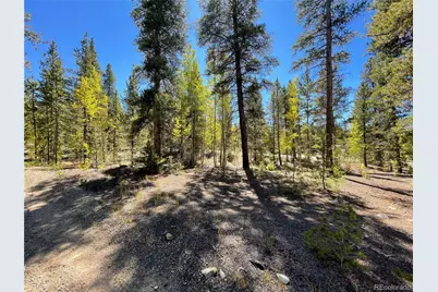 200 Virginia Avenue, Leadville, CO 80461 - Photo 3