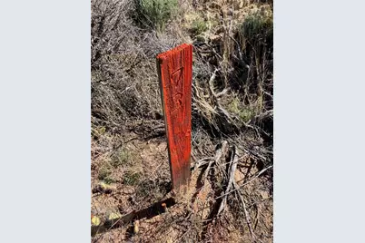 Lot  73 Old Stage Coach Road, San Luis, CO 81152 - Photo 9