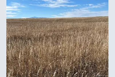 County 41 Road, Elbert, CO 80106 - Photo 19