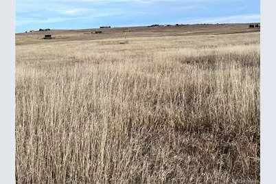County 41 Road, Elbert, CO 80106 - Photo 13