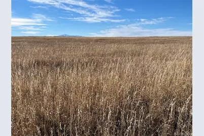 County 41 Road, Elbert, CO 80106 - Photo 21