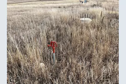 County 41 Road, Elbert, CO 80106 - Photo 15