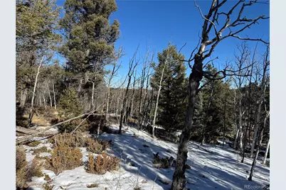 91 Hidden Valley Drive, Florissant, CO 80816 - Photo 11