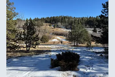 91 Hidden Valley Drive, Florissant, CO 80816 - Photo 21