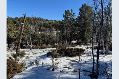 91 Hidden Valley Drive, Florissant, CO 80816 - Photo 1