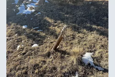 91 Hidden Valley Drive, Florissant, CO 80816 - Photo 3