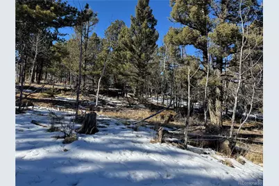 91 Hidden Valley Drive, Florissant, CO 80816 - Photo 7