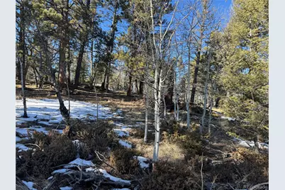 91 Hidden Valley Drive, Florissant, CO 80816 - Photo 15