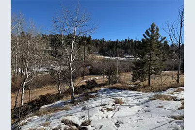 91 Hidden Valley Drive, Florissant, CO 80816 - Photo 25