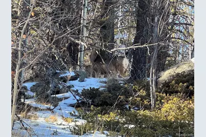 91 Hidden Valley Drive, Florissant, CO 80816 - Photo 23