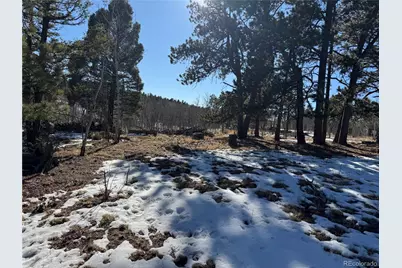 91 Hidden Valley Drive, Florissant, CO 80816 - Photo 13