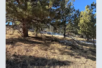 91 Hidden Valley Drive, Florissant, CO 80816 - Photo 5