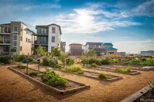 6330 N Malaya St, Aurora, CO 80019 - Photo 29