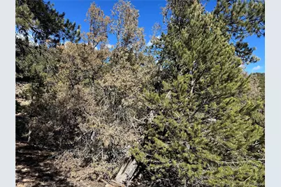 1114 Kevin Drive, Cotopaxi, CO 81223 - Photo 13