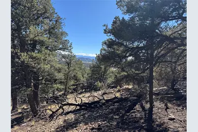 1114 Kevin Drive, Cotopaxi, CO 81223 - Photo 11
