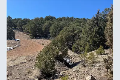 1114 Kevin Drive, Cotopaxi, CO 81223 - Photo 3