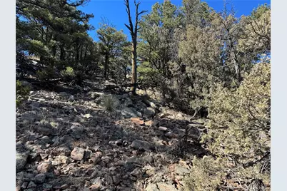 1114 Kevin Drive, Cotopaxi, CO 81223 - Photo 13