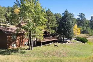 28964 Western Dr, Evergreen, CO 80439 - Photo 41