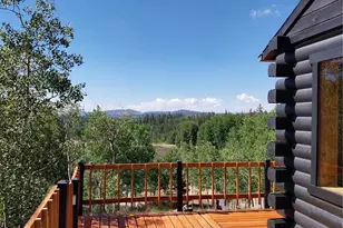 1391 Ute Trail, Como, CO 80432 - Photo 7