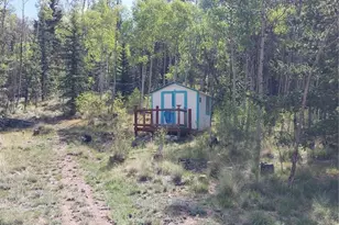 1391 Ute Trail, Como, CO 80432 - Photo 25