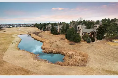 10 Roder Gate Lane, Castle Pines, CO 80108 - Photo 29