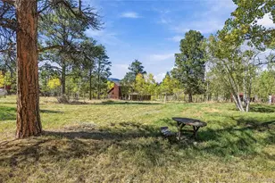 533 Burland Dr, Bailey, CO 80421 - Photo 41