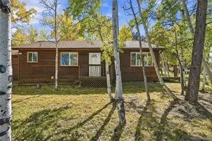 533 Burland Dr, Bailey, CO 80421 - Photo 5