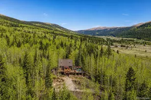 495 Edgewood Rd, Alma, CO 80420 - Photo 3