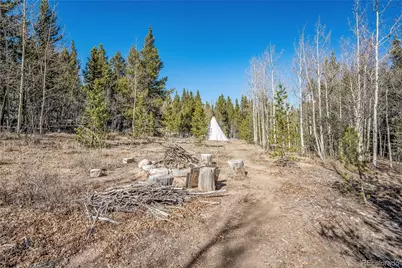 495 Edgewood Road, Alma, CO 80420 - Photo 33