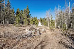 495 Edgewood Rd, Alma, CO 80420 - Photo 31