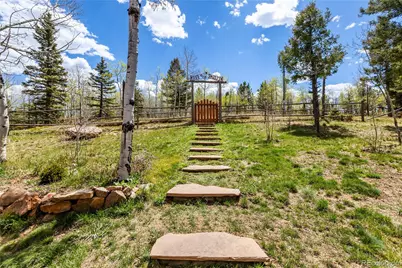 153 Moss Rock Court, Divide, CO 80814 - Photo 3