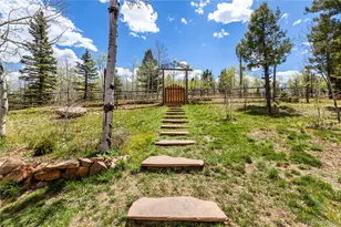 153 Moss Rock Ct, Divide, CO 80814 - Photo 3