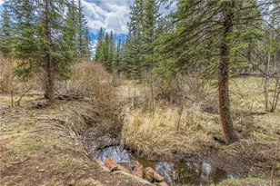 153 Moss Rock Ct, Divide, CO 80814 - Photo 37