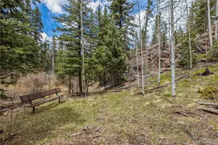 153 Moss Rock Ct, Divide, CO 80814 - Photo 5