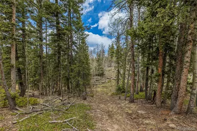 153 Moss Rock Court, Divide, CO 80814 - Photo 35