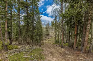 153 Moss Rock Ct, Divide, CO 80814 - Photo 35