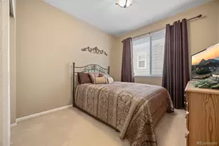 12223 S Grass River Trail, Parker, CO 80134 - Photo 23