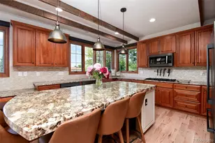 921 Courtland Pl, Highlands Ranch, CO 80126 - Photo 7