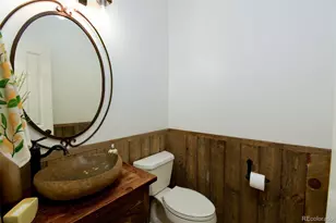 921 Courtland Pl, Highlands Ranch, CO 80126 - Photo 25