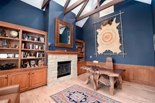 921 Courtland Pl, Highlands Ranch, CO 80126 - Photo 15