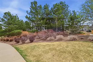10559 Jewelberry Trail, Highlands Ranch, CO 80130 - Photo 27