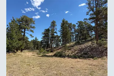 168 Main Street, Red Feather Lakes, CO 80545 - Photo 7