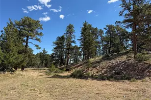 168 Main St, Red Feather Lakes, CO 80545 - Photo 7