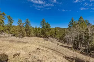 752 Impala Trail, Bailey, CO 80421 - Photo 49