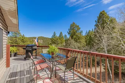752 Impala Trail, Bailey, CO 80421 - Photo 29